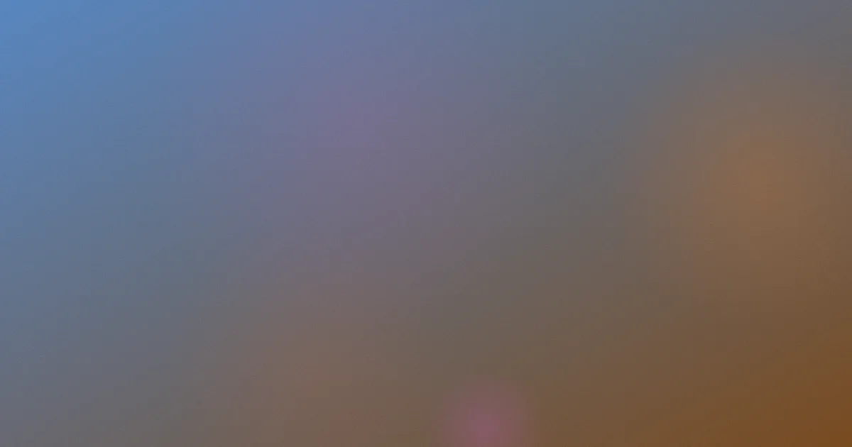王自健是什么：一文讲明白